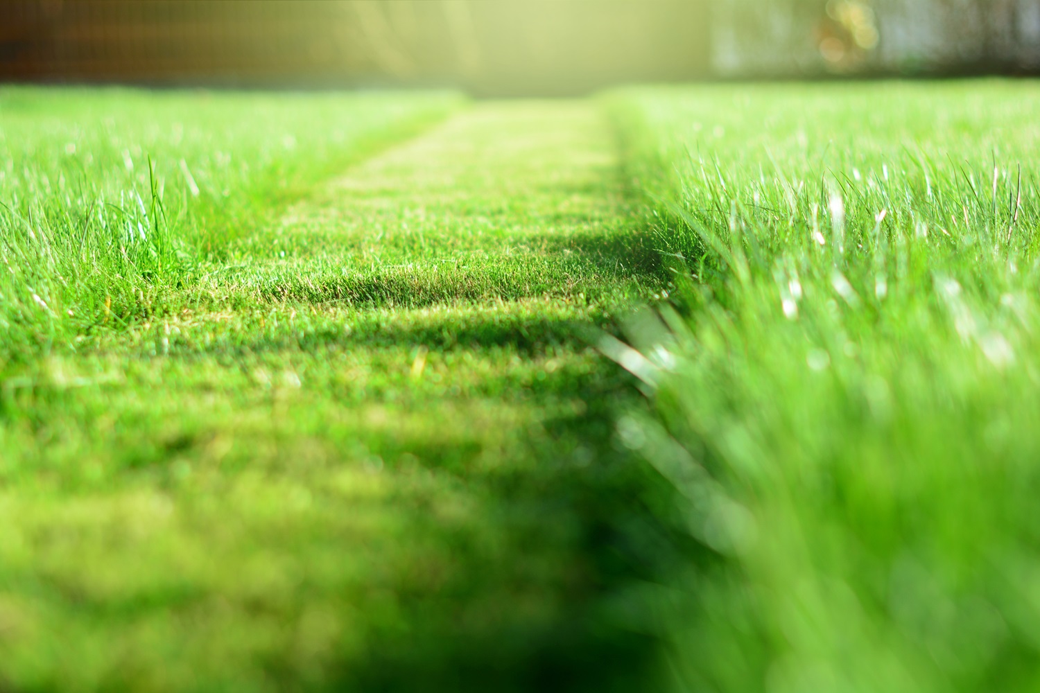 Landscaping Services